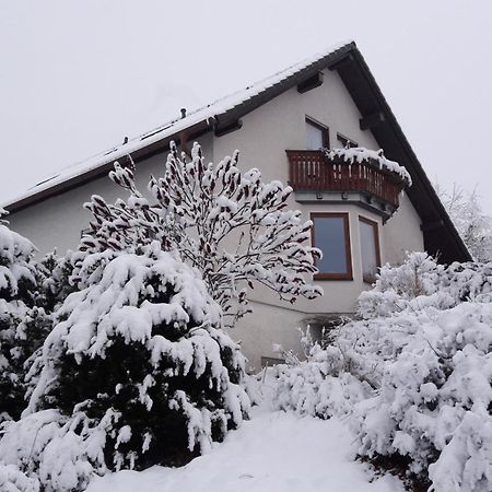 Apartamento Ferienwohnnung Ruth - Familienurlaub Im Erzgebirge Langenbach  Exterior foto