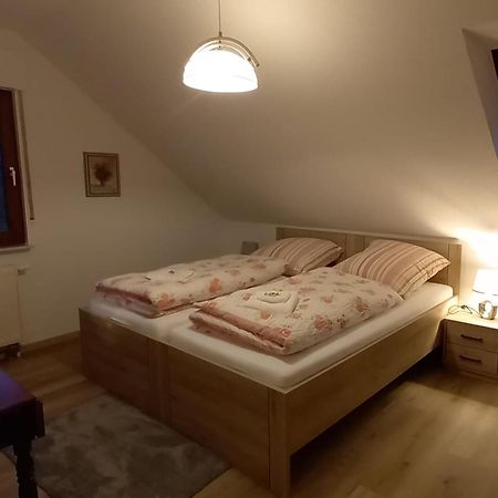 Apartamento Ferienwohnnung Ruth - Familienurlaub Im Erzgebirge Langenbach  Exterior foto