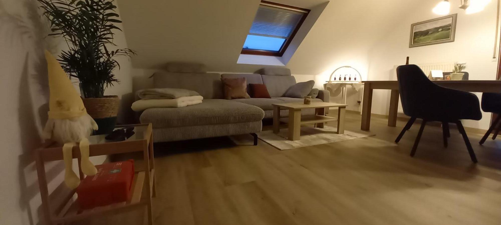 Apartamento Ferienwohnnung Ruth - Familienurlaub Im Erzgebirge Langenbach  Exterior foto